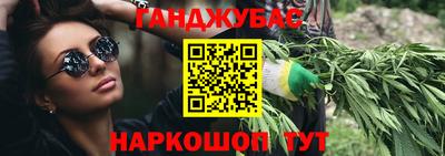 крисы Кунгур