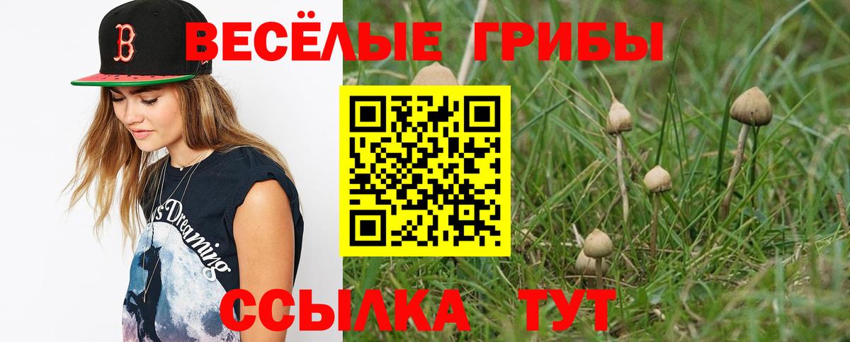 Галлюциногенные грибы мицелий  купить закладку  Вход с VPN  Биробиджан  Галлюциногенные грибы Magic Shrooms 