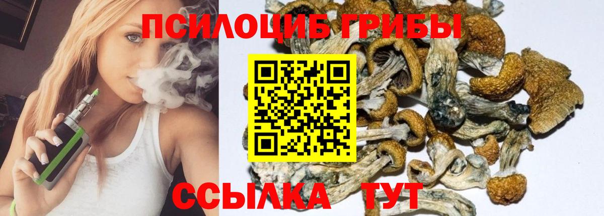 Галлюциногенные грибы Psilocybe Биробиджан